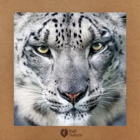 Snow Leopard T-Shirt Kids